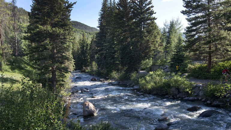 Coldstream Townhome 15